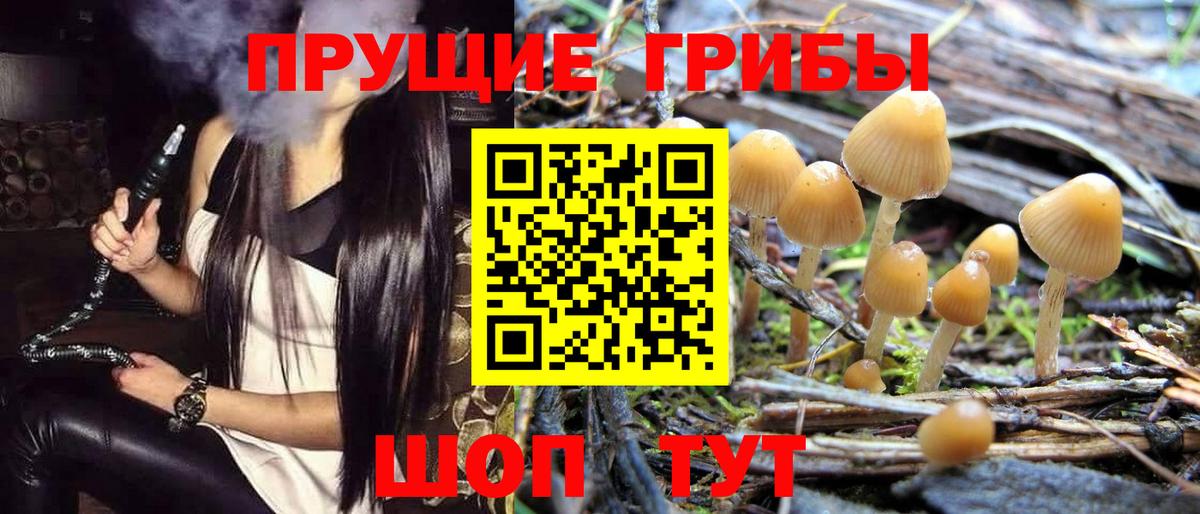 Галлюциногенные грибы MAGIC MUSHROOMS Новокузнецк