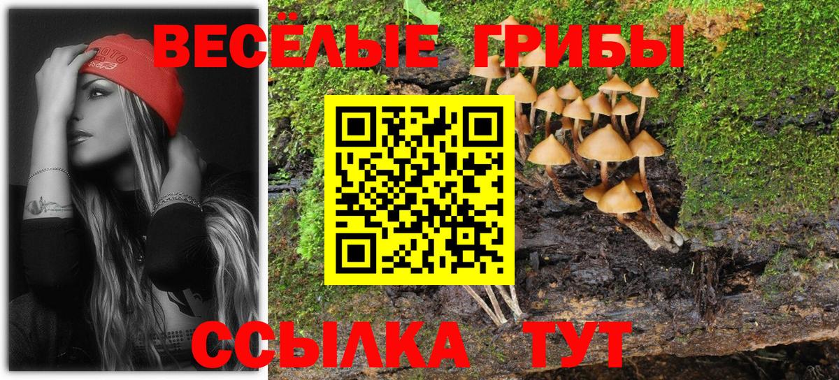 Псилоцибиновые грибы прущие грибы  Вход с VPN  Псилоцибиновые грибы Psilocybe  что такое наркотик  Новокузнецк 
